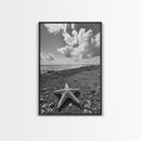 Starfish on Shore, Rocky Beach Scene, Cloudy Sky Horizon, Ocean Calm, Framed Canvas Print, Coastal Art, Bathroom Wall Decor