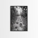 Forest Trail Path, Woodland Escape, Nature Walk, Adventure Art, Framed Canvas Print, Office Wall Decor, Autumn Vibes, Rustic Nature Style