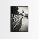 Palm Fence, California Pathway, Suburban Tranquility, Canvas Print, Outdoor Wall Art, Neutral Tones, Modern Minimalist Home Vibe