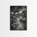 Forest Path, Twisting Trees, Nature Trail Scene, Framed Canvas Print, Earthy Wall Art, Boho Woodland Decor, Entryway or Hallway Accent