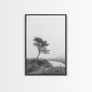 Leaning Tree Path, Soft Fog Scene, Calm Landscape, Canvas Print, Serene Entryway Wall Art, Nature Photography, Minimalist Decor