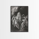 Lobster Close Up, Marine Life Art, Coastal Kitchen Decor, Monochrome Sea Animal, Framed Canvas Print, Ocean Wall Art, Nautical Print