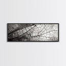 Macro Insect Wing, Abstract Nature Texture, Modern Neutral Wall Decor, Framed Canvas Print, Office Art, Monochrome Macro Photography
