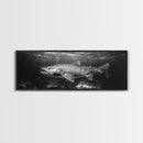 Underwater Fish, Lake Trout, Black and White Ocean, Framed Canvas Print, Coastal Bathroom Art, Fisherman Gift, Nautical Wall Decor