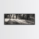 Sunrays Meadow, Tree Light, Golden Hour, Framed Canvas Print, Fall Living Room Art, Rustic Nature Decor, Warm Toned Landscape