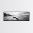 Snake On Beach, Coastal Wildlife, Dramatic Black and White, Framed Canvas Print, Nature Wall Art, Minimalist Decor, Office Statement Art