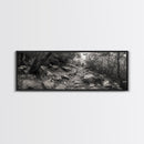 Rocky Path, Forest Trail, Autumn Mood, Canvas Print, Nature Photography, Rustic Entryway Decor, Woodland Art, Cabin Hallway Style