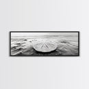 Sand Dollar, Ocean Shore, Calm Waters, Canvas Print, Coastal Wall Art, Minimalist Bathroom Decor, Seashell Beach Photography