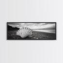 Shell on Shore, Monochrome Coastal, Canvas Print, Boho Wall Art, Bathroom Wall Decor, Natural Beach Aesthetic, Ocean Inspired Art