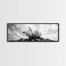 Windswept Kelp Rock, Ocean Botanical, Nature Inspired Canvas Print, Boho Style Art, Bathroom Wall Art, Sea Life Photography
