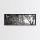 Forest Path, Tree Tunnel, Light Shadows, Woodland Magic, Framed Canvas Print, Nature Lover Gift, Entryway Wall Art, Modern Rustic Style