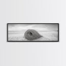 Tumbleweed Nest, Desert Beach, Natural Sculpture, Coastal Simplicity, Canvas Print, Modern Boho Wall Art, Neutral Home Aesthetic