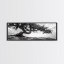 Bending Tree, Windswept Landscape, Coastal Nature, Monochrome Art, Framed Canvas Print, Zen Wall Art, Minimalist Living Room Decor