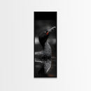 Loon Bird, Red Eye, Monochrome Wildlife, Nature Framed Canvas Print, modern living room wall art, black and white animal art