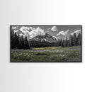 Mountain, Meadow, Wildflowers, Alpine meadow bloom and majestic peak on this Framed Canvas Print, serene Nature Wall Art for Entryway