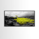 Lone Tree Lava, Surreal Earth Tones Decor, Abstract Volcanic Art, Black and Yellow Landscape, Canvas Print, Boho Living Room Accent