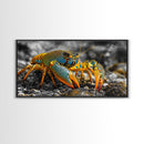 Rainbow Lobster, Bold Colors, Exotic Crustacean, Canvas Print, Underwater Art, Coastal Living Room Wall Art, Boho Ocean Creature Decor