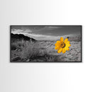 Yellow Flower, Desert Bloom, Monochrome Landscape, Canvas Print, Botanical Wall Art, Minimalist Nature Decor, Modern Kitchen Accent