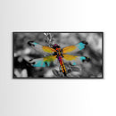 Rainbow Dragonfly, Nature Close-Up, Bold Insect Art, Canvas Print, Boho Wall Art, Botanical Decor, Vibrant Bedroom Accent Piece