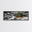 Colorful Fish Closeup, Underwater Art, Nature Photography, Canvas Print, Coastal Bathroom Decor, Vibrant Marine Life Wall Art