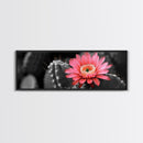 Desert Bloom, Cactus Flower, Vibrant Petals, Nature Beauty, Framed Canvas Print, Boho Wall Art, Living Room Decor, Pink Flower Photography