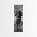 Majestic Bison Close-Up, Framed Canvas Print, rustic wall art, cowboy home décor, wildlife photography, farmhouse art, black and white photography