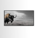 Buffalo Wall Art Canvas Print | Rustic Farmhouse Decor | Western Landscape Art | Moody Wall Art | Extra Wide Art | Nature Lover Gift