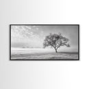 Solitary Tree, Minimalist Art, Landscape Painting, Oak Tree Art, Extra Wide Art, Moody Art, Wabi Sabi Wall Art, Framed Canvas Print