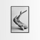 Driftwood Sculpture, wabi sabi art, rustic decor, minimalist art, botanical prints, farmhouse art, framed canvas print, living room art