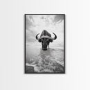 Buffalo art, bull and bear art, moody photography, black and white wall art, unique wildlife art, wabi sabi art, canvas print, farmhouse decor