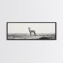 Lone Gazelle, moody art, southwest wall art, extra wide art, wabi sabi art, minimalist art, framed canvas print, panoramic painting