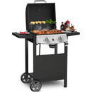 2-Burner Propane Gas Grill,228 Sq. Inch Cooking Area,Outdoor Camping Picnic for Patio,Party,Black