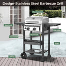 2-Burner Stainless Steel Propane Grill, 16,000 BTU Portable Gas BBQ with Electronic Ignition