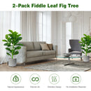 2-Pack Artificial Fiddle Leaf Fig Tree by LJGDeals