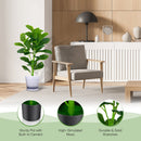 2-Pack Artificial Fiddle Leaf Fig Tree by LJGDeals
