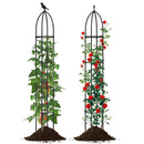 2-Pack Garden Obelisk Trellis for Climbing Plants-Black by DirectDeals