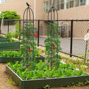 2-Pack Garden Obelisk Trellis for Climbing Plants-Black by LJGDeals