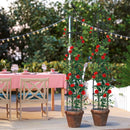 2-Pack Garden Obelisk Trellis for Climbing Plants-Black by LJGDeals