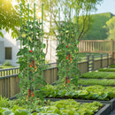 2-Pack Garden Trellis Tomato Cage with Adjustable Height-Green by LJGDeals
