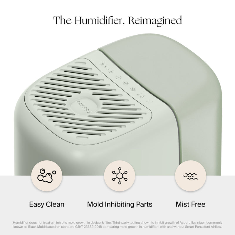 Bedside Humidifier 2.0