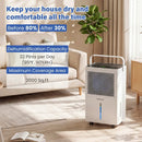 32 Pint Dehumidifier with Drain Hose for 2000 Sq Ft by LJGDeals