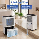 32 Pint Dehumidifier with Drain Hose for 2000 Sq Ft by DirectDeals
