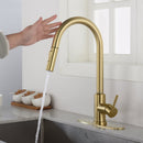 Touch Kitchen Faucet With Pull Down Sprayer