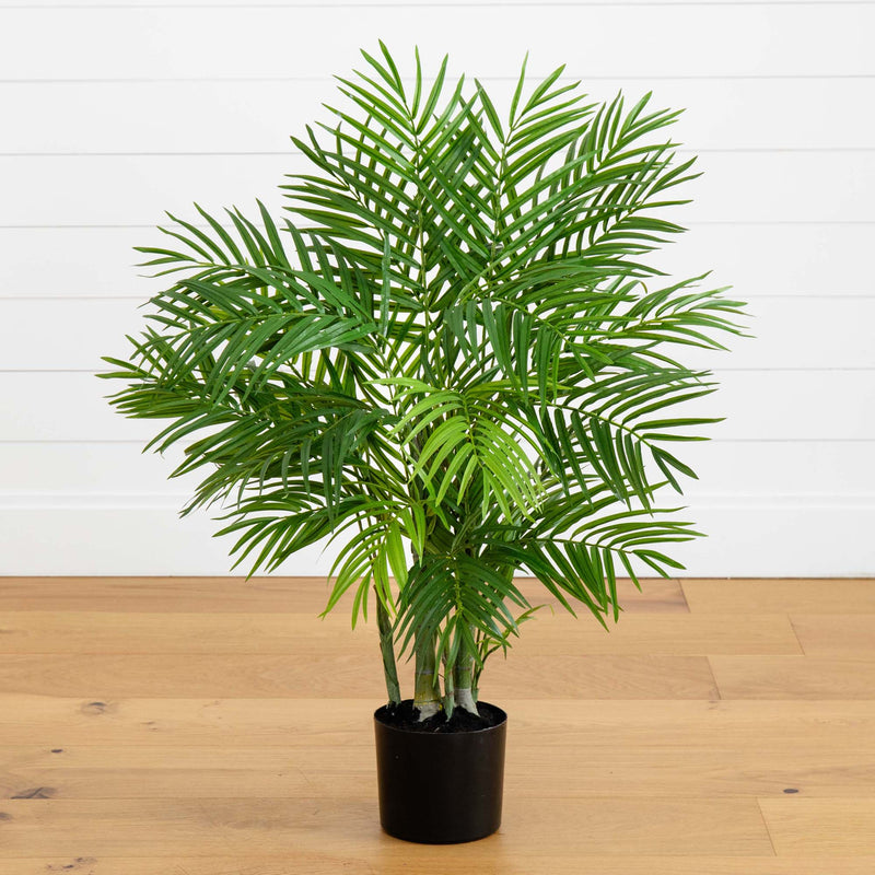 3' Areca Silk Palm Tree