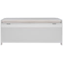 TREXM Storage Bench with 3 Shutter-shaped Doors