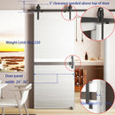 CRAZY ELF Melamine Integrated Door Slab with Sliding Track Kit