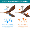 60 Inch Indoor Modern Ceiling Fan With 3 Solid Wood Blades by HouseOfZazla