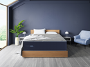 TempaGel by Restonic ChillRest Plush, California King