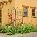 2 Pack Metal Garden Trellis 78.7" x 19.7"