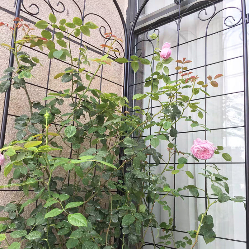 4 Pack Metal Garden Trellis for Climbing Plants, photo 10 of 10